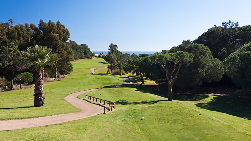 Golfresor med spel p grnskande golfbana med palmer och trd i frgrunden med havet skymtande.