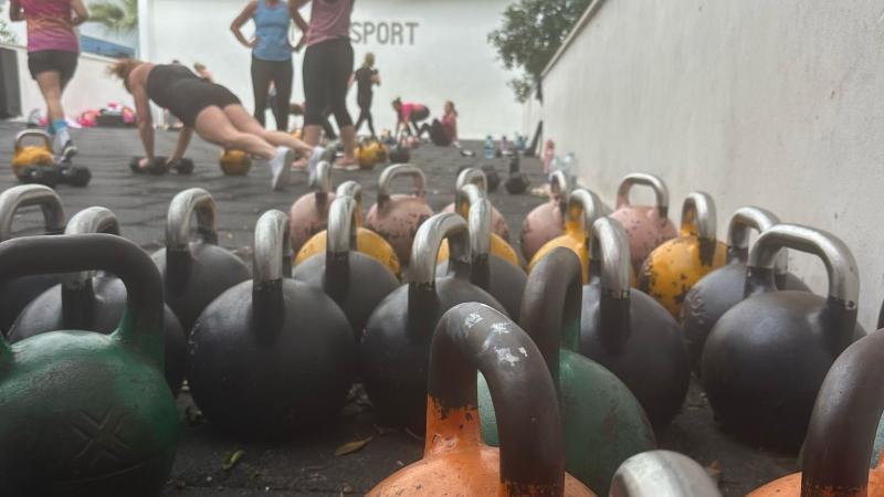 Mega sport Hantlar